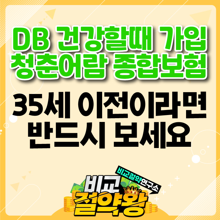  DB 건강할때 가입하는 청춘어람 종합보험 한눈에 반했네요