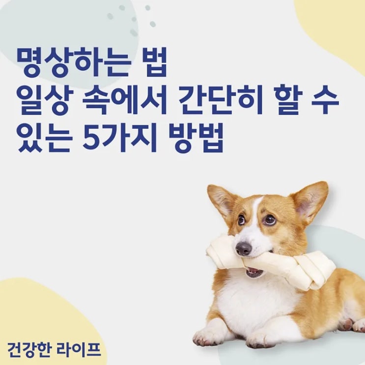  명상하는 법, 일상 속에서 간단히 할 수 있는 5가지 방법