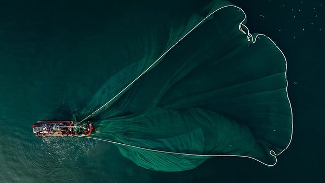 사람 사람