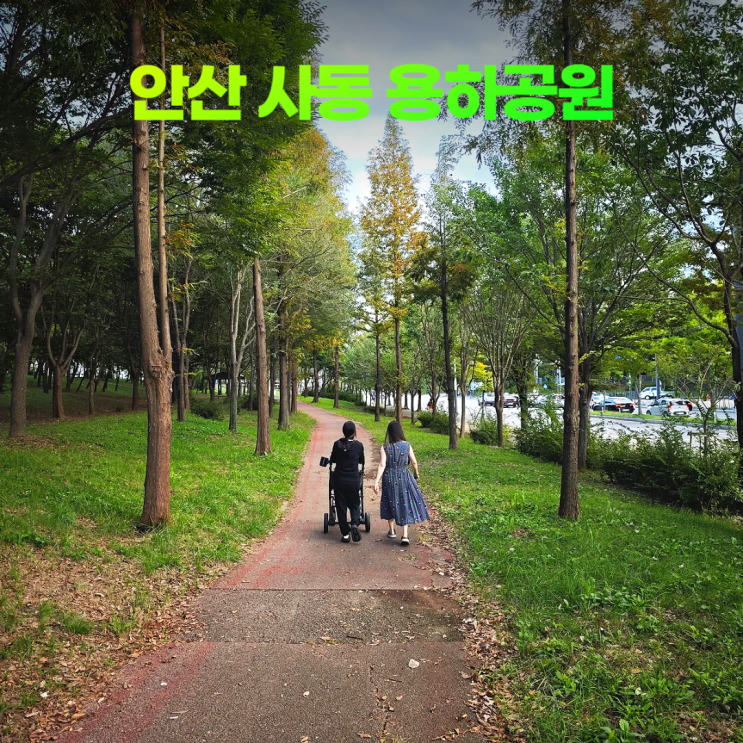 도심 속 운동 공간 안산 사동 용하공원 유모차 산책로 도심 속 운동 공간 안산 사동 용하공원 유모차 산책로