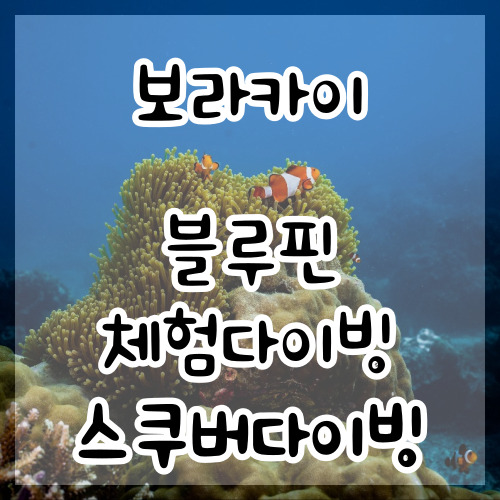  보라카이 스쿠버다이빙 블루핀 체험다이빙 헤난파크 조식