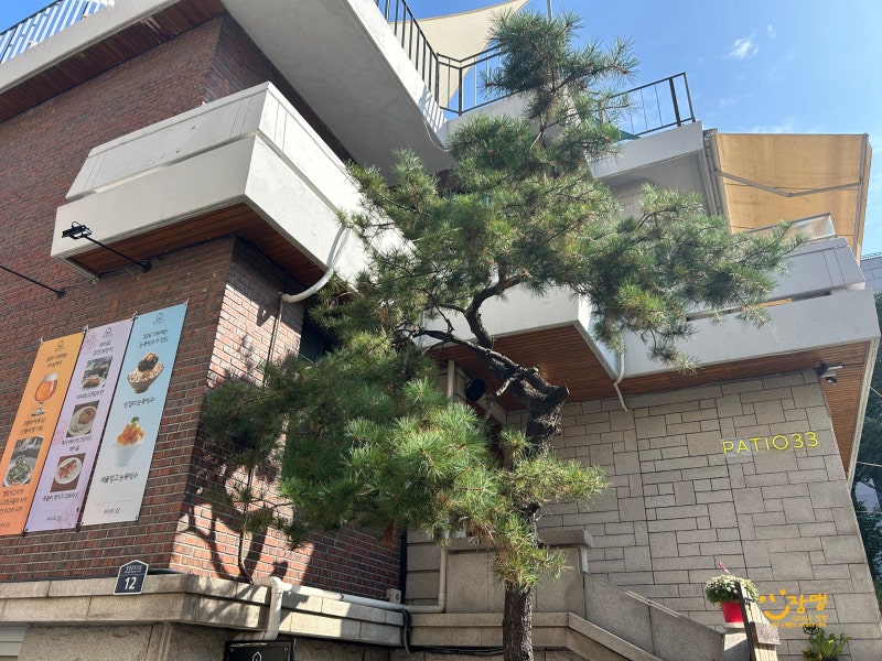 사진 5