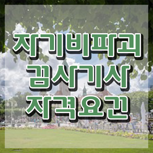  자기비파괴검사기사 학점 , 자기비파괴검사기사자격증 합격 전략 , 무료수강