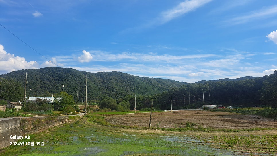 새남골산 사진 2