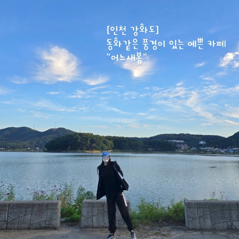 사진 6