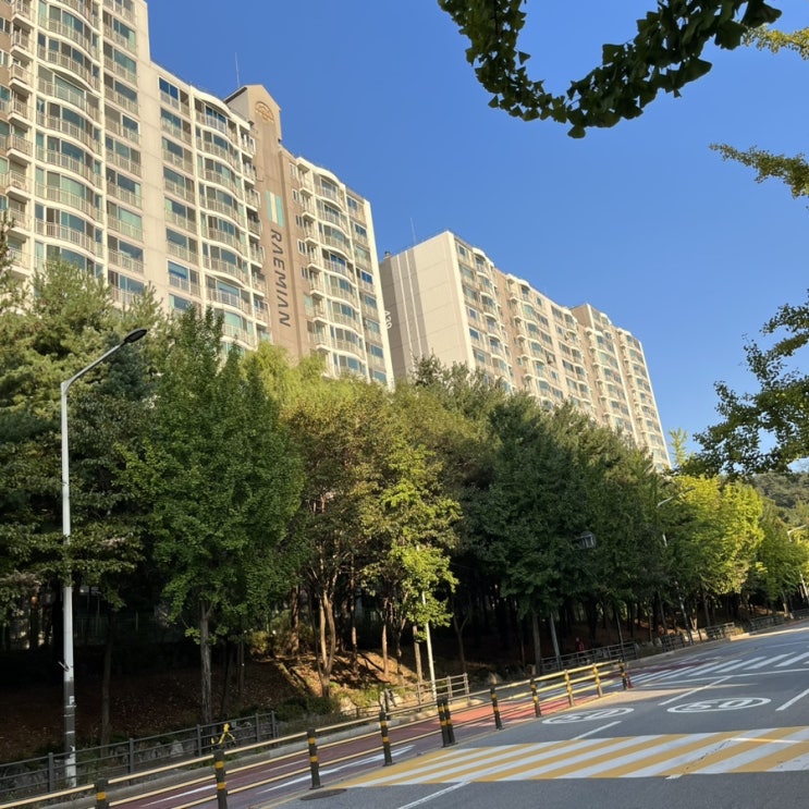  도파민 디톡스 방법 실천 후기 & 효과 좋았던 것들 소개