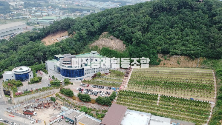  수목장 평택 가족 수목장 가격 절차 알아보기