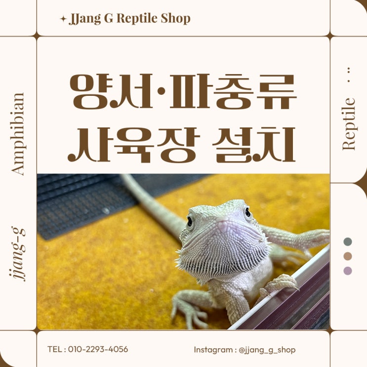  양서 파충류 사육장 설치 위치 어디가 좋을까?