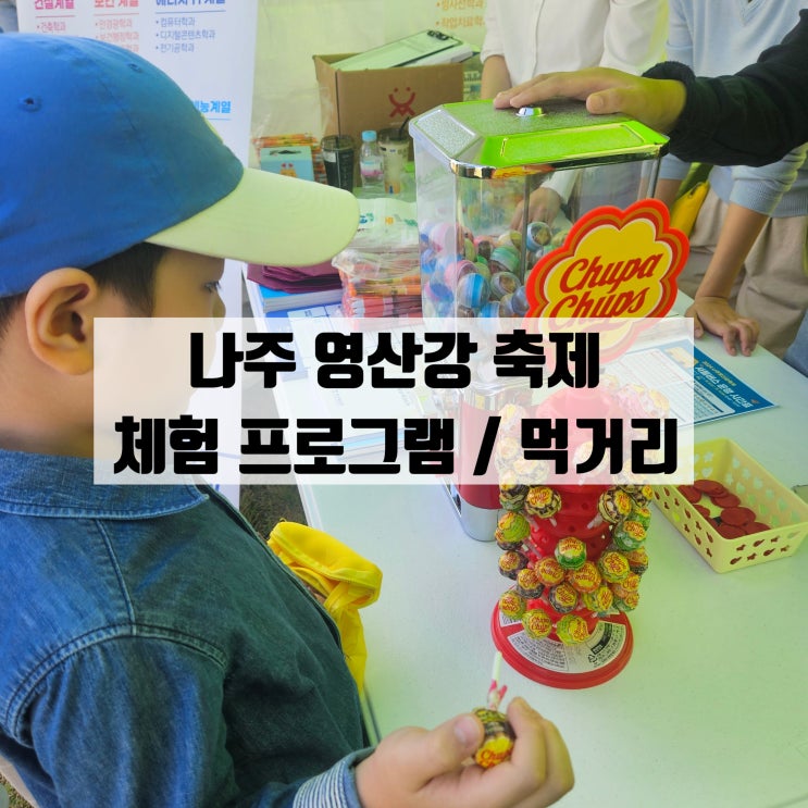  나주 영산강 축제 체험 프로그램 총 정리 +먹거리