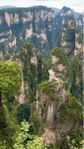  [24.07 Zhangjiajie, China] 아빠 칠순기념 가족여행 장가계 2일차 (천자산, 공중전원, 원가계, 십리화랑길, 금편계곡)