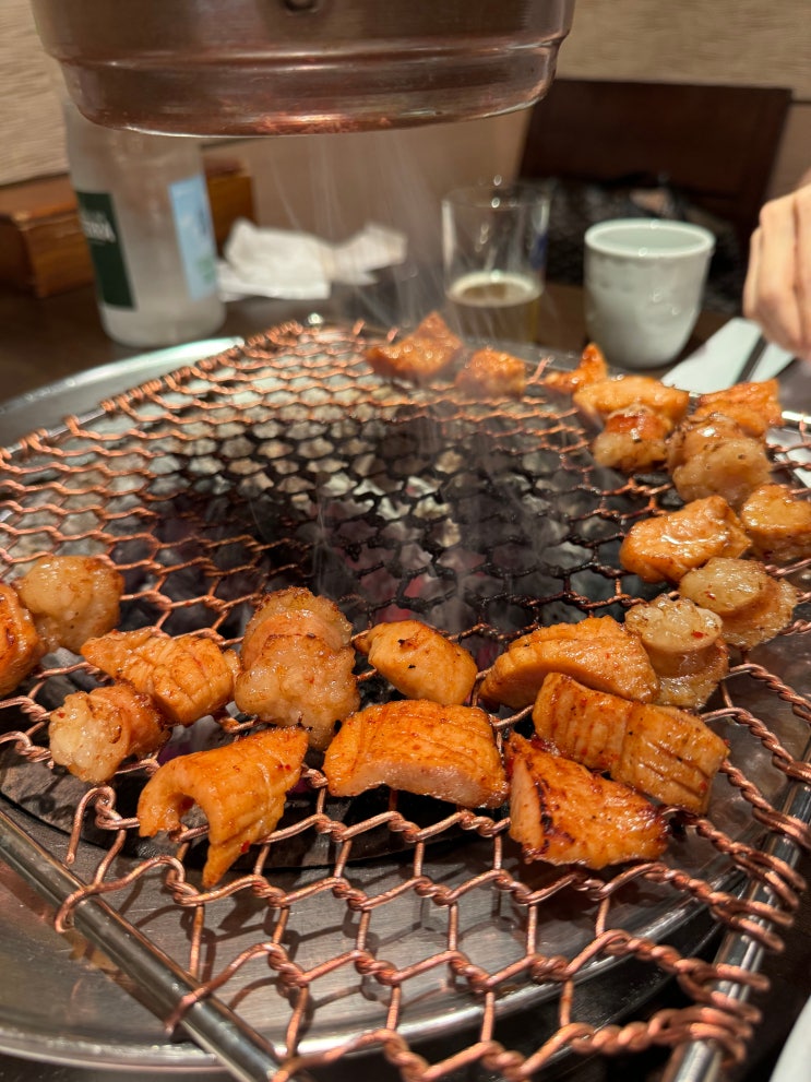  아리양 - 숯불에 구워먹는 고급 양대창 선정릉역 맛집