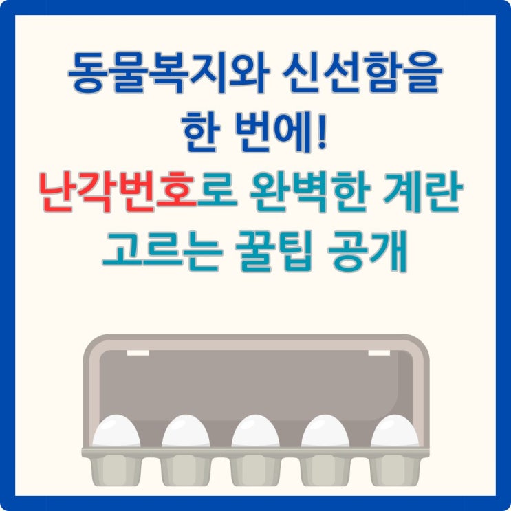  동물복지와 신선함을 한 번에! 난각번호로 완벽한 계란 고르는 꿀팁 공개