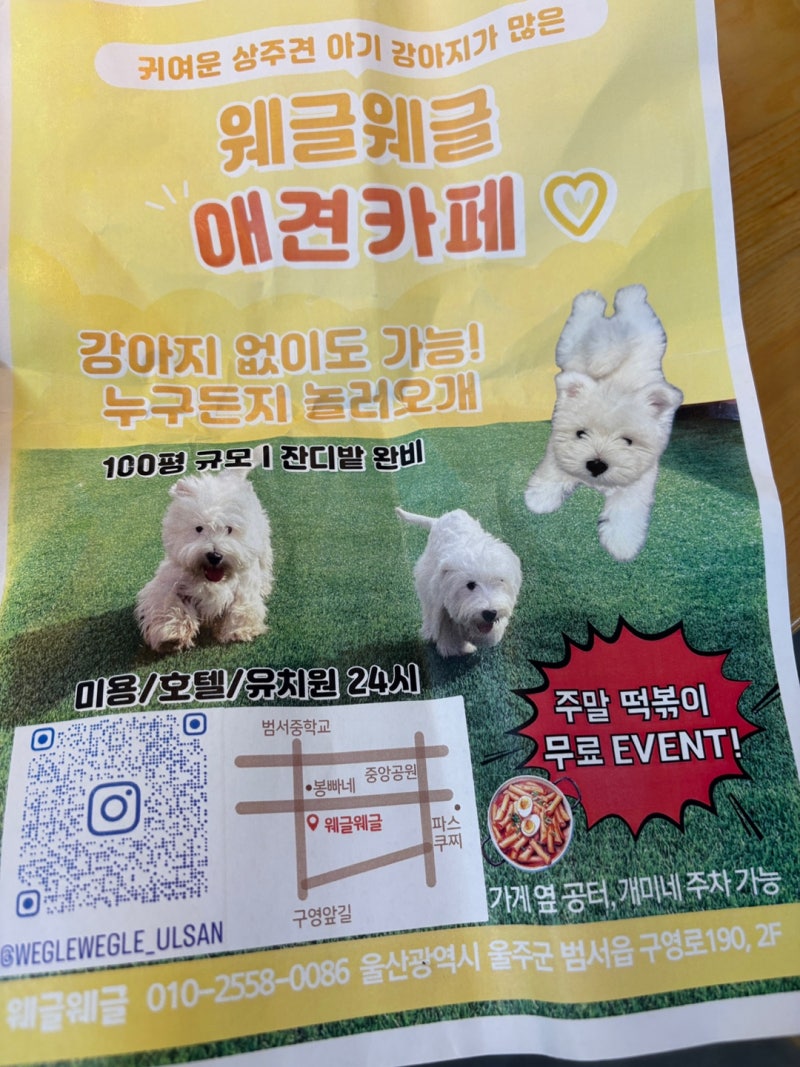 사진 3