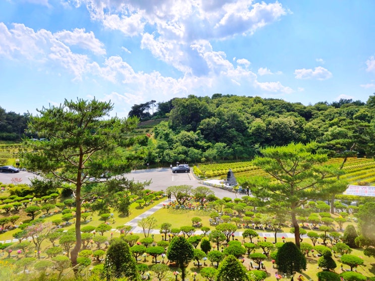  용인수목장 가격과 형태 알아보아요