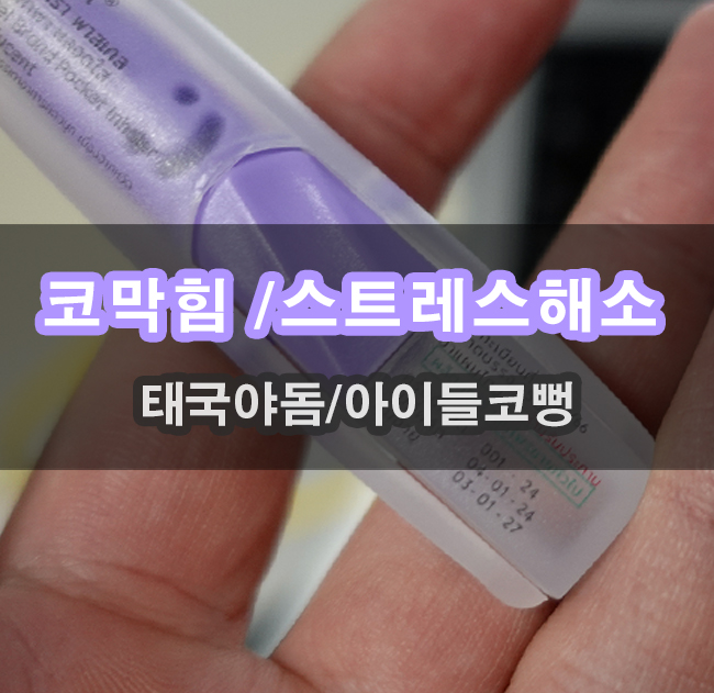  코막힘 무기력할때 태국야돔 향기로 코가 뻥