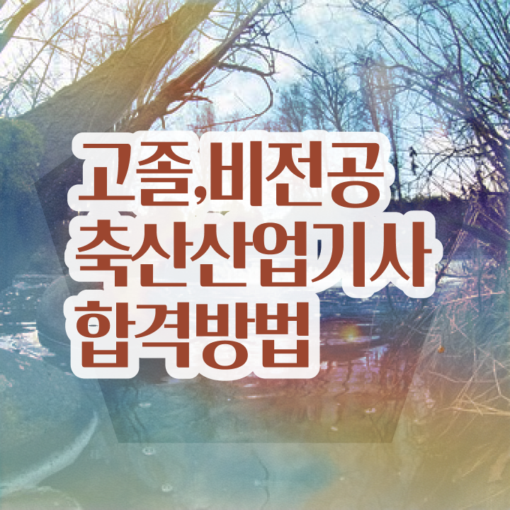  축산산업기사 필기 시험 요건 축산산업기사 시험응시조건 온라인 과정으로 간편하게 성공한 후기