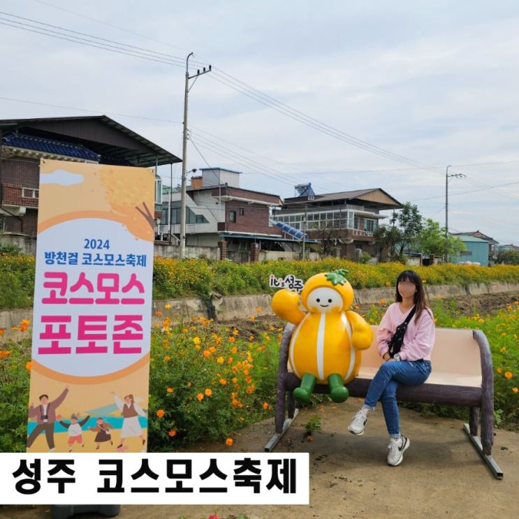  성주 도흥 3리 신활력코스모스 축제 성주여행 팸투어 후기