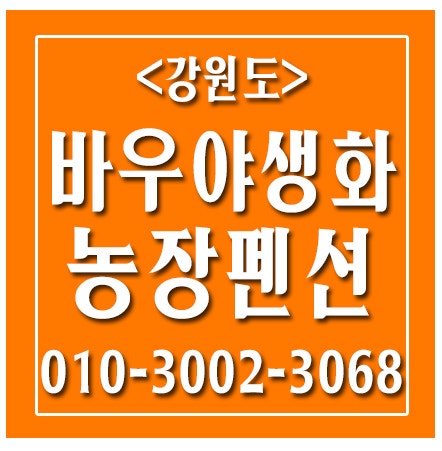 바우야생화농장펜션 사진 1