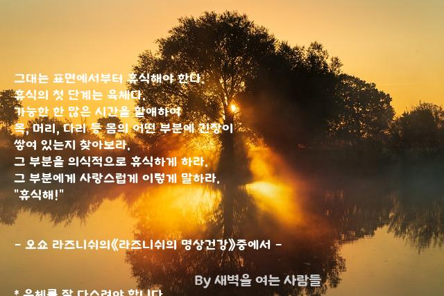 육체 육체