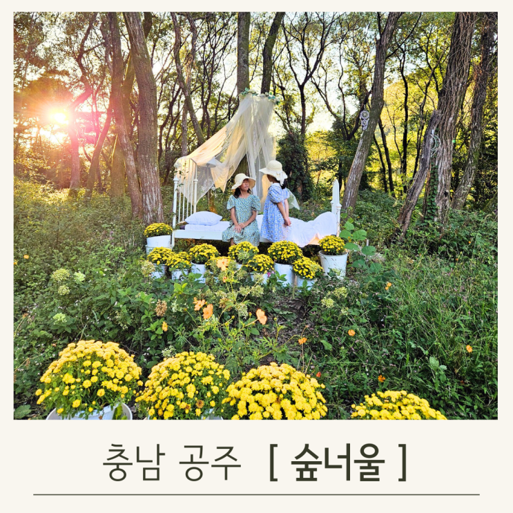  공주 숲너울, 할로윈 분위기가 물씬나는 여행지
