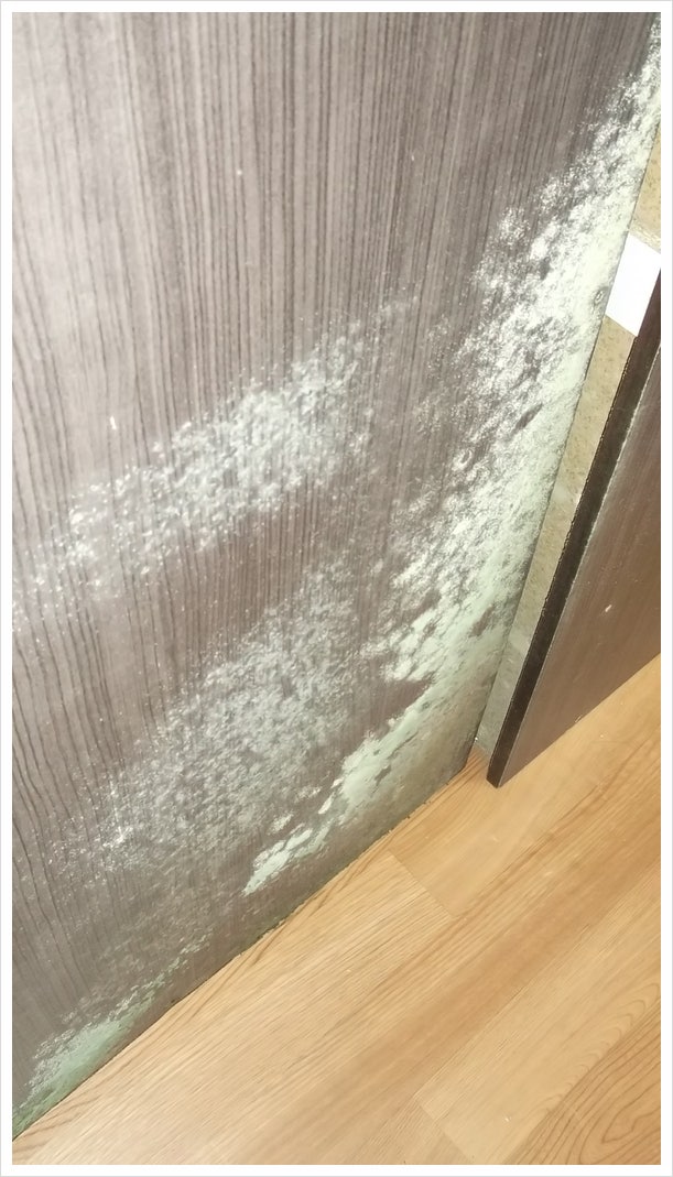  곰팡이냄새? 가구 뒤 확인 필수!