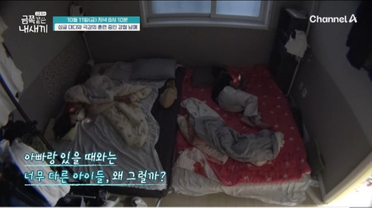 '요즘 육아 금쪽같은 내 새끼' 보러가기, 극강의 생존훈련, 아이들에게 미치는 영향은? '요즘 육아 금쪽같은 내 새끼' 보러가기, 극강의 생존훈련, 아이들에게 미치는 영향은?