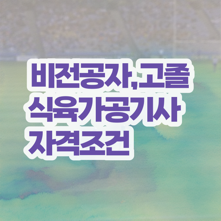  식육가공기사 접수자격 식육가공기사 응시조건 독학으로 쉽고 빠르게 준비한 방법