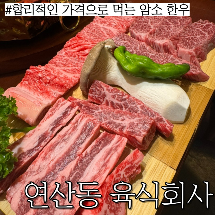  부산 연산동 고기집: 가성비 맛 잡은 암소갈비집“육식회사”