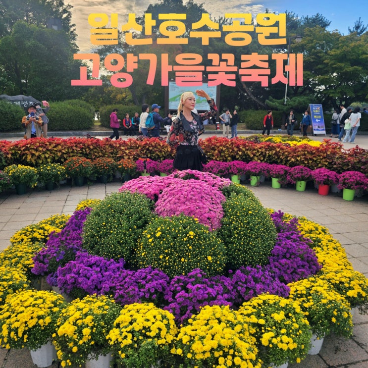  일산호수공원 고양가을꽃축제 놀거리 데이트코스