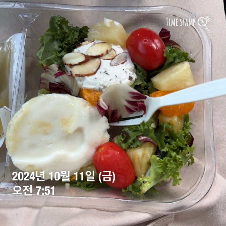  [2일차] 241011: 화는 풀어야 제 맛 ㅋ
