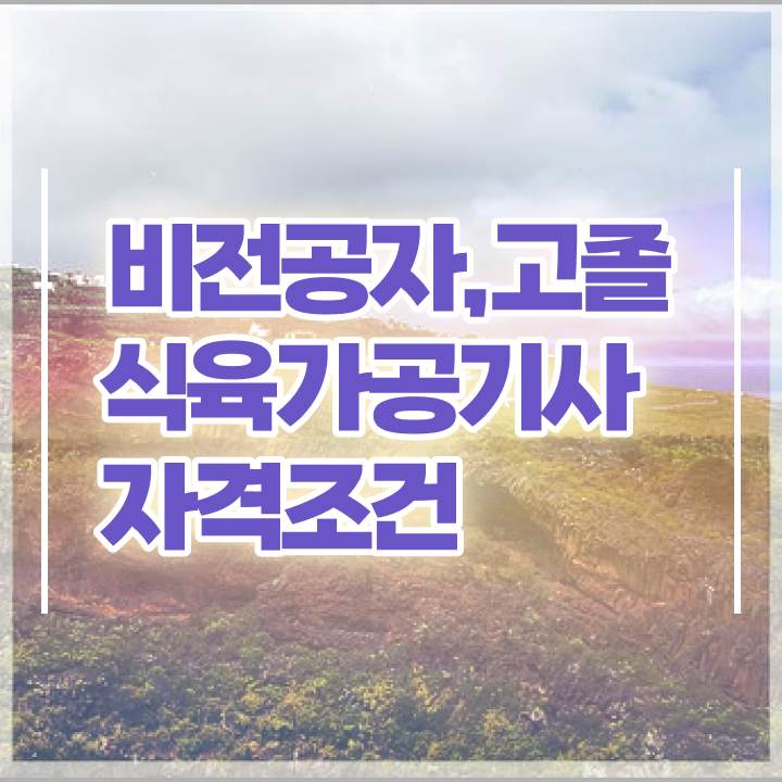  식육가공기사 접수자격 식육가공기사 취득자격 인강으로 단기간에 성공한 과정