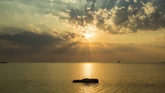  청년무료심리상담 , 심리상담사 자격증 취득한 과정 정보 퍼펙트 요약