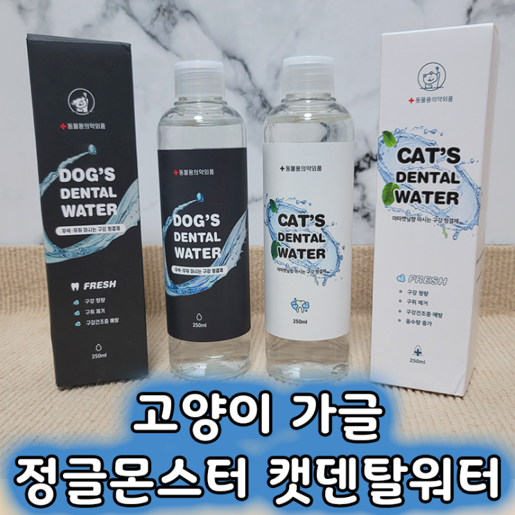  양치질 싫어하는 고양이양치 필수템 정글몬스터  캣 덴탈워터