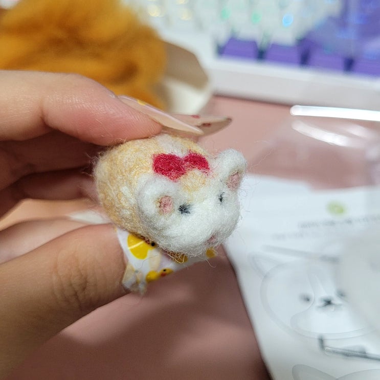  인생 첫 양모펠트 도전