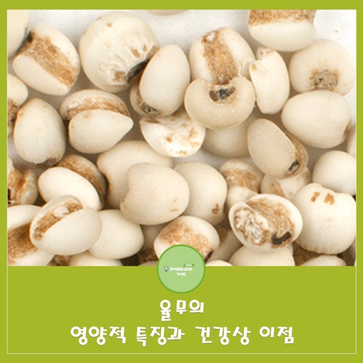  고소한 율무, 채식 식단의 완벽한 동반자 | 율무의 영양적 특징과 건강상 이점