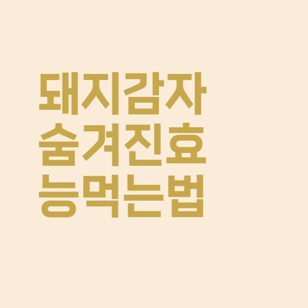 숨겨진 돼지감자 효능들과 먹는 법 총정리했어요