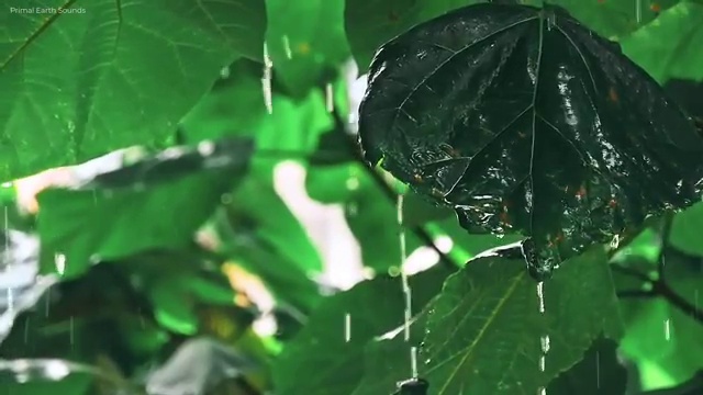  노인통합관리지도사 , 노인통합관리지도사 자격증 2주 만에 합격한 팁 및 채용 정보