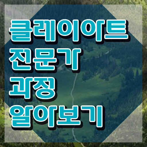  캐릭터클레이 , 클레이아트전문가 자격증 합격한 전략 정리