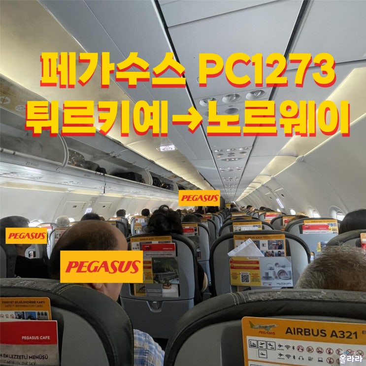  페가수스 PEGASUS PC1273 튀르키예 이스탄불 노르웨이 오슬로 입국