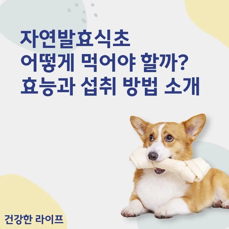  자연발효식초, 어떻게 먹어야 할까? 효능과 섭취 방법 소개