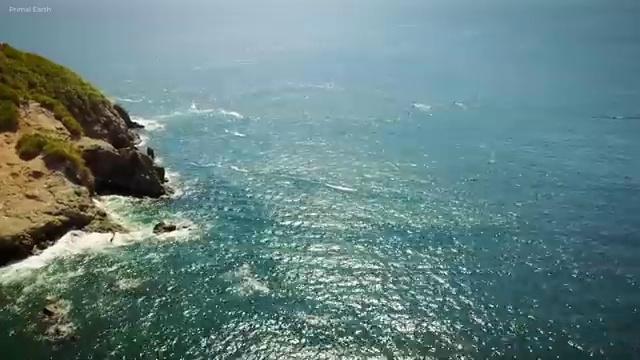  부산 아동심리상담 센터 , 아동심리상담사 자격증 온라인으로 취득한 방법 및 채용 정보