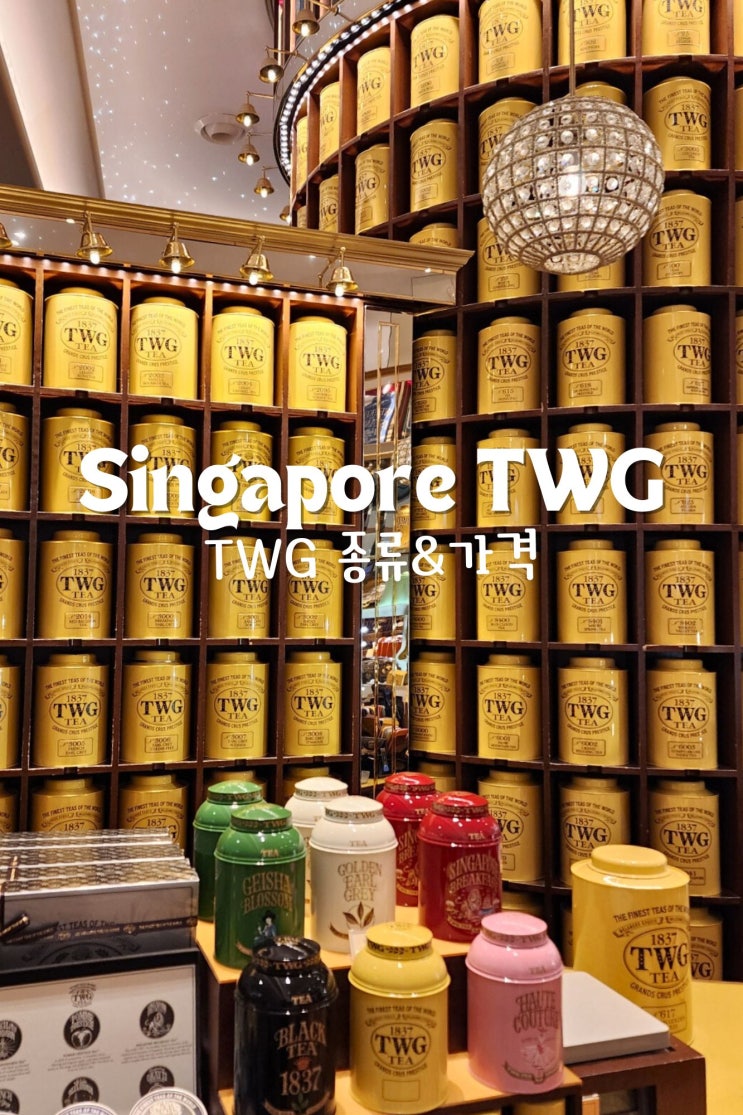  싱가포르 오차드로드 TWG 선물 가격부터 종류까지