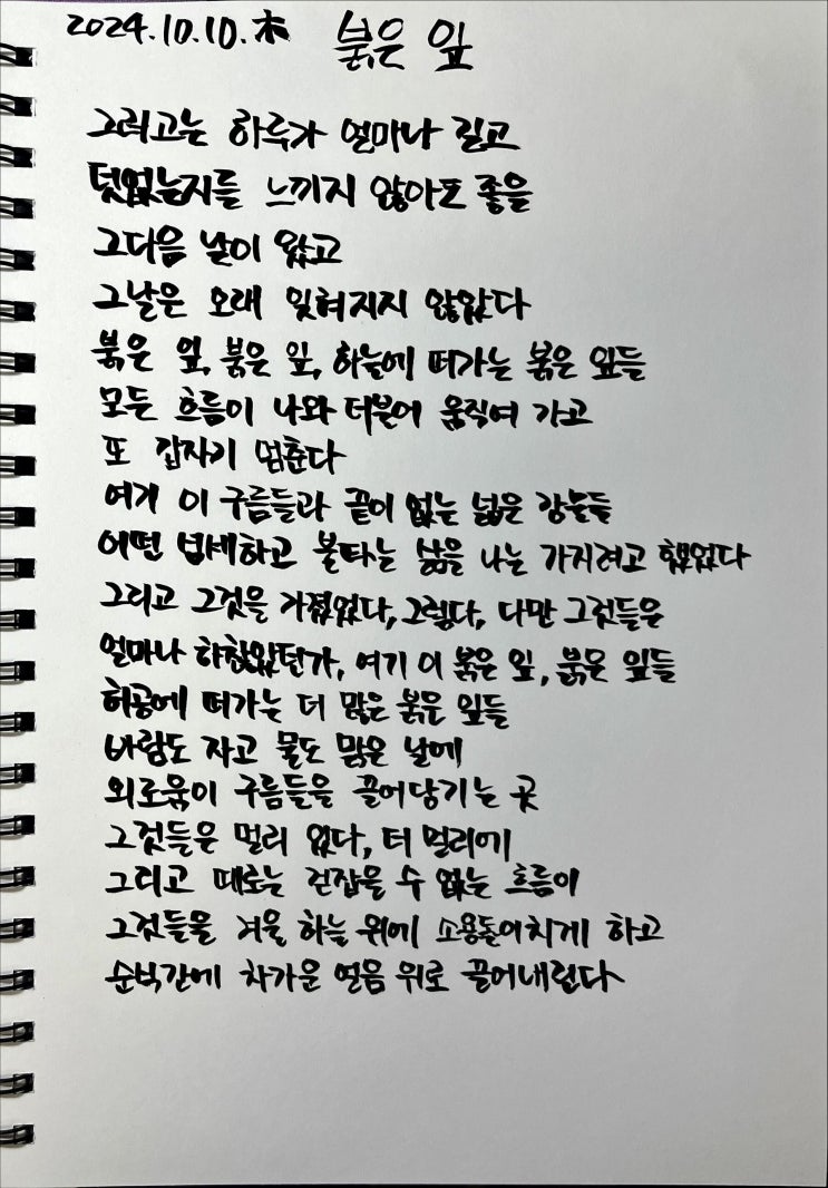  [필사] 붉은 잎-류시화