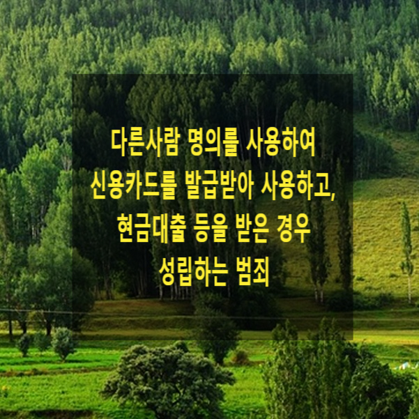  다른사람 명의를 사용하여 신용카드를 발급받아 사용하고, 현금대출 등을 받은 경우 성립하는 범죄(명의모용, 명의도용)