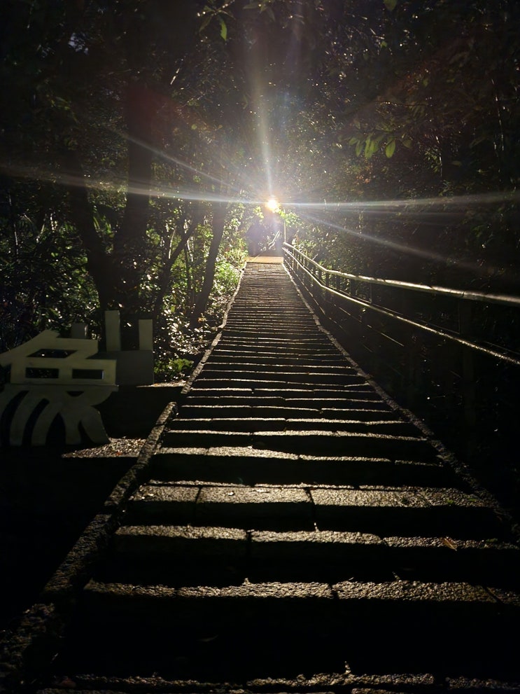  대만 여행 샹산 등산 코스 타이베이 101 보이는 야경 전망대 후기
