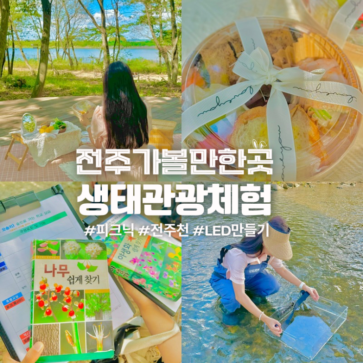  전주 아이와가볼만한곳 오송제 생태관광체험 피크닉 추천