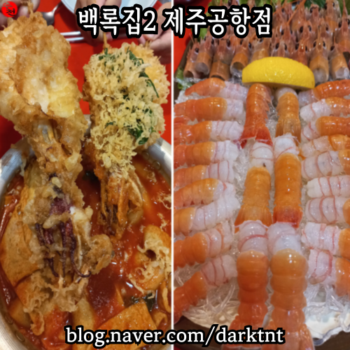 백록집 2 제주 공항 근처 횟집 딱새우 회 한치 떡볶이 맛집