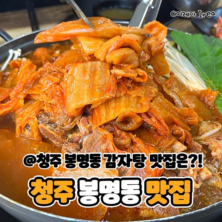  청주 감자탕 배가네묵은지감자탕 (ft.청주 봉명동 맛집)