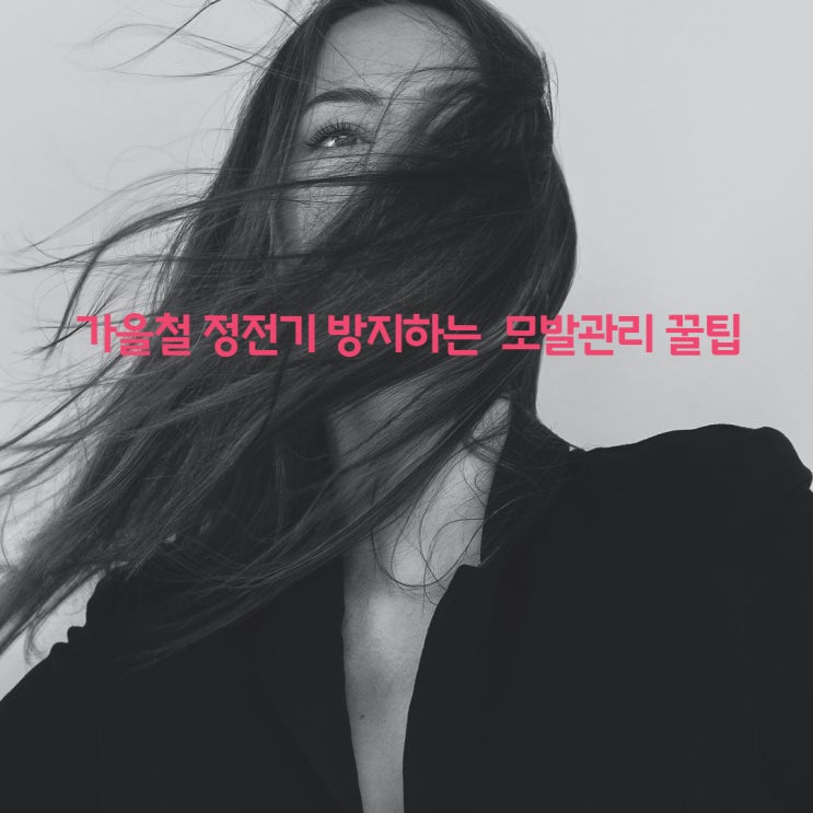  가을철 정전기 방지하는 헤어관리 꿀팁