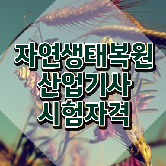  자연생태복원산업기사 자격 요건 자연생태복원산업기사 시험응시자격 온라인으로 빠르게 완료한 후기